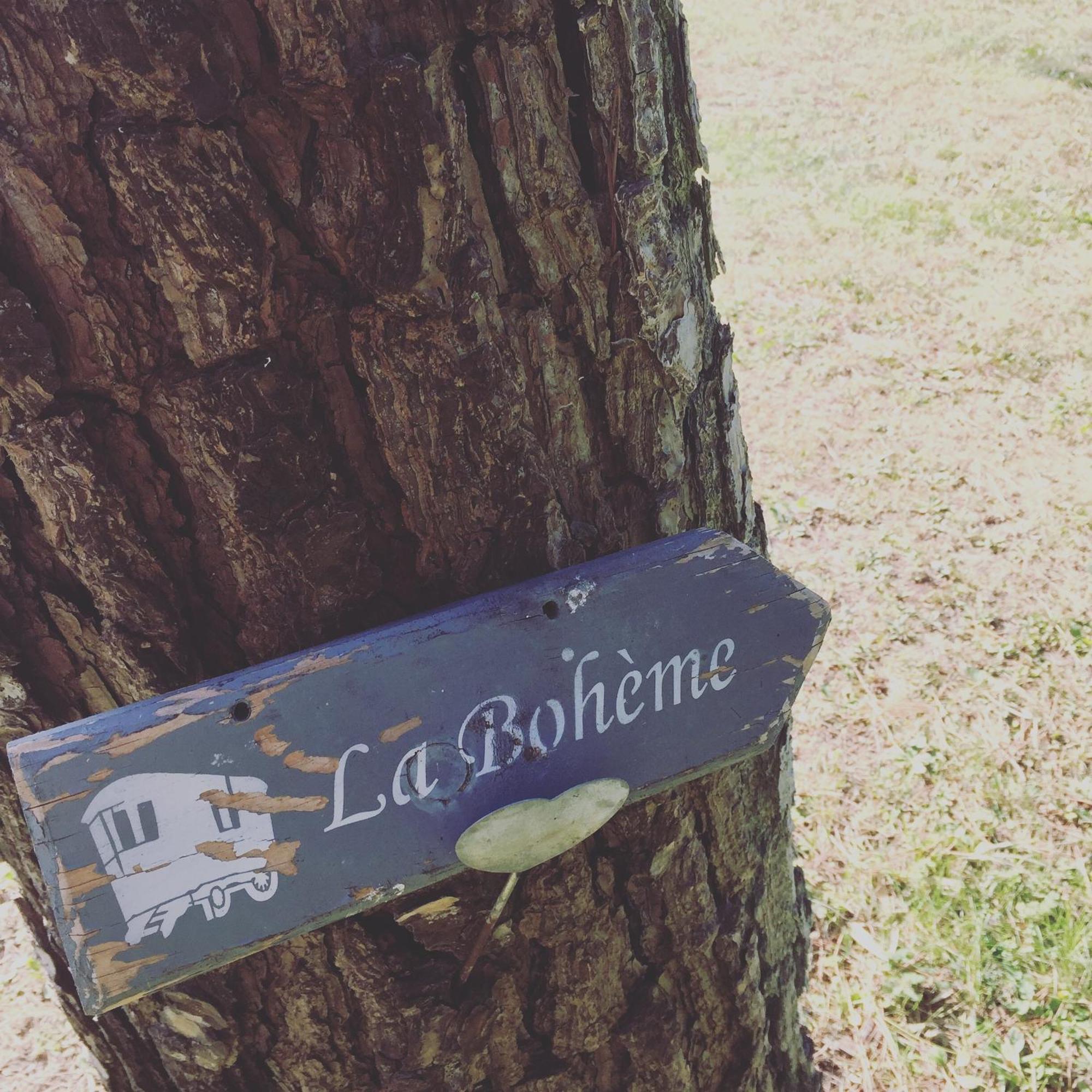 Mas La Pauline Gites De Charme & Roulotte Saint-Rémy-de-Provence Habitación foto